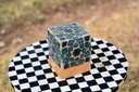 Camel skin square shape lamp  - Duplicate IMG # 1