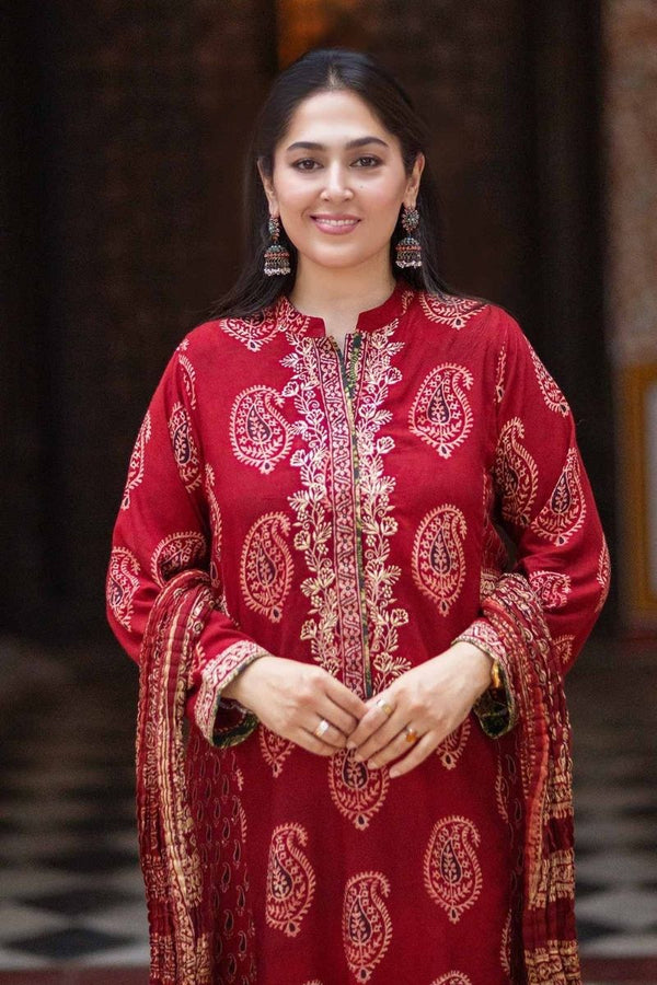 Extra image for Paisley Ajrak Kurta