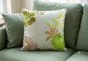 Embroidered pair of cushions