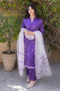 phulkari Silk Suit