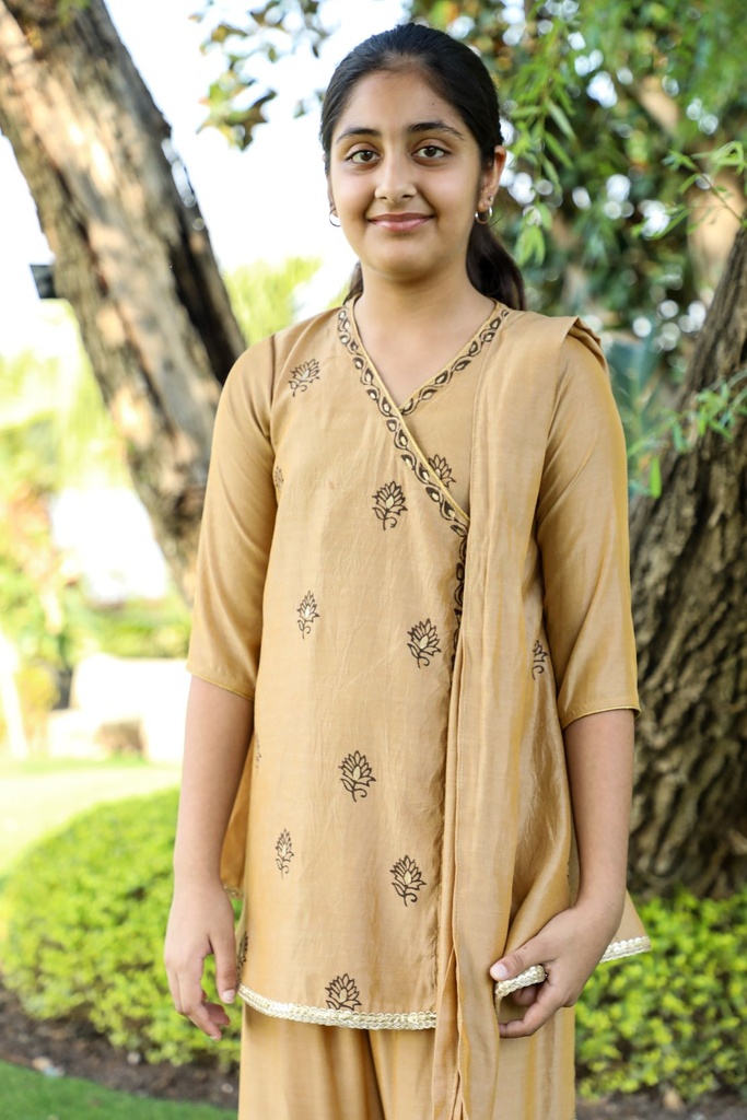 CARNIVAL 1 -  Silk Blockprint