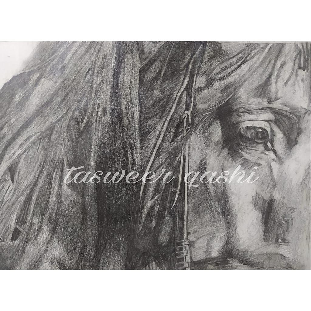 Horse Face.