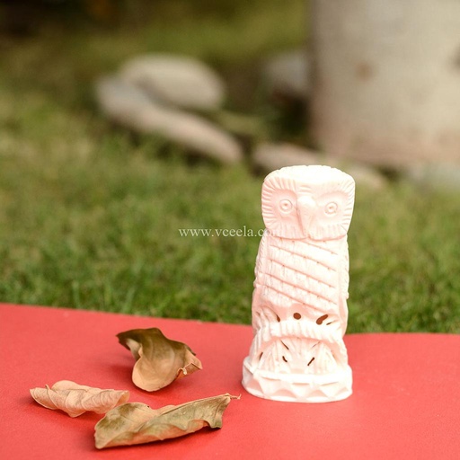 [PK0075-CF-BON-009471] Camel Bone Craft