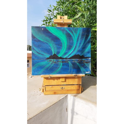 [PK4358-AR-ACR-013143] aurora