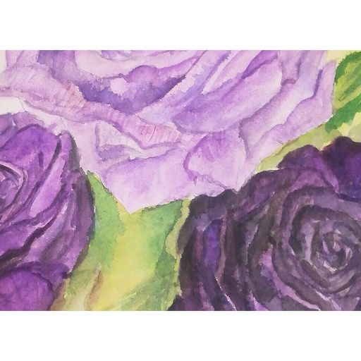 [PK4411-AR-WAT-013943] Purple trio