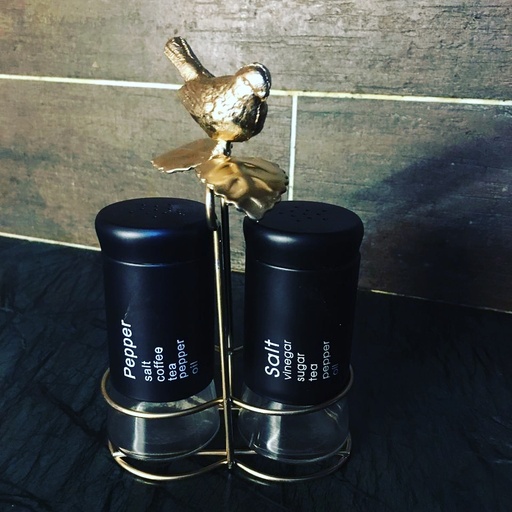 [PK3329-HM-TBW-014555] Salt & Pepper Bottle with Holder