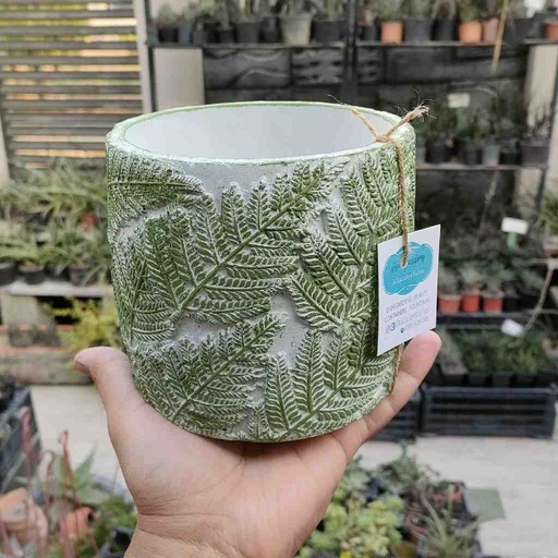 [PK0849-HM-PLN-024257] The Leaf Impression