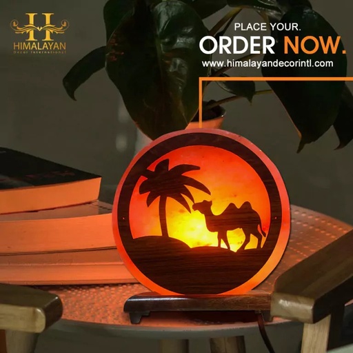 [PK8146-HM-LMP-027836] Himalayan Salt Lamp with 3D Print (Camel Style)