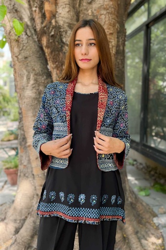 [Q-33-24] Desi Dazzle