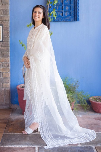 [3-D-25] APPLIQUE EMBROIDERED DUPATTA