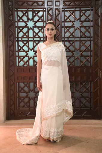 [7-sr-24] Golden Applique Saree