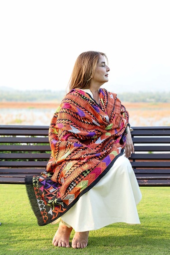 [23-SH-313] Prismatic - Jisti phulkari shawl