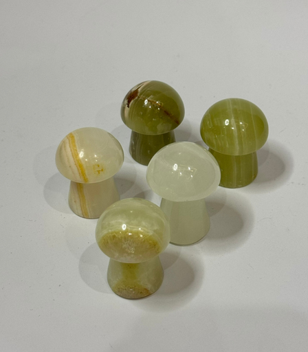 [VC-NUQ-NQMSCMR17] Face Massaging Mushroom