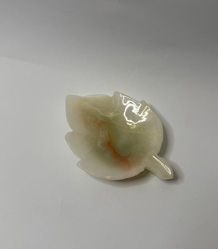 [VC-NUQ-NQMFLOG19] Leaf Shaped Small Plates In Multi-Veining