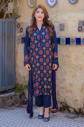 [20.KP.23] PHULKARI SILK DRESS
